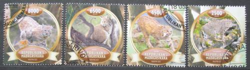 Poštové známky Madagaskar 2022 Rysi Mi# N/N