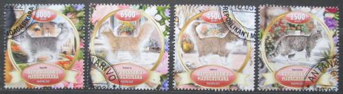 Poštové známky Madagaskar 2022 Maèky Mi# N/N