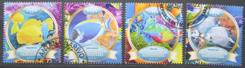 Poštové známky Madagaskar 2022 Ryby Mi# N/N