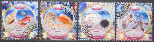 Poštové známky Madagaskar 2022 Mušle Mi# N/N