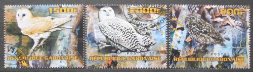 Poštové známky Gabon 2022 Sovy Mi# N/N