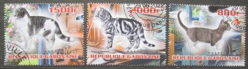 Poštové známky Gabon 2022 Maèky Mi# N/N