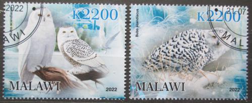 Poštové známky Malawi 2022 Sovy Mi# N/N
