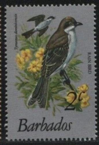 Poštová známka Barbados 1979 Tyran šedý Mi# 466