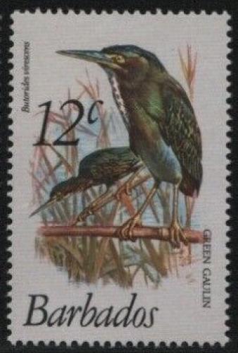 Poštová známka Barbados 1979 Volavka zelenavá Mi# 470