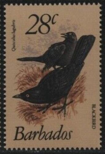 Poštová známka Barbados 1979 Vlhovec karibský Mi# 473