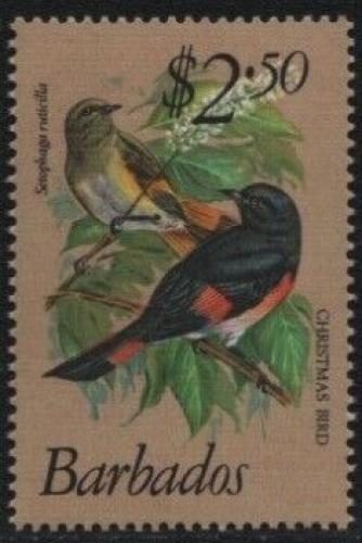 Poštová známka Barbados 1979 Lesòáèek lejskovitý Mi# 479 Kat 7€