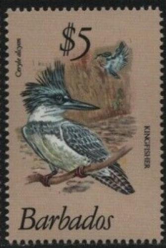 Poštová známka Barbados 1979 Rybaøík pruhoprsý Mi# 480 Kat 10€
