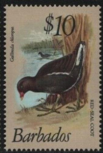 Poštová známka Barbados 1979 Slípka zelenonohá Mi# 481 Kat 20€ 