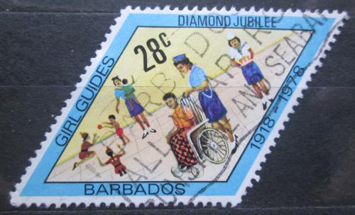 Poštová známka Barbados 1978 Skauti Mi# 449