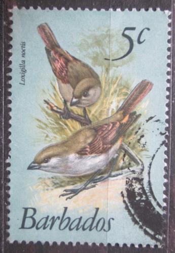 Poštová známka Barbados 1979 Knìžík menší Mi# 467