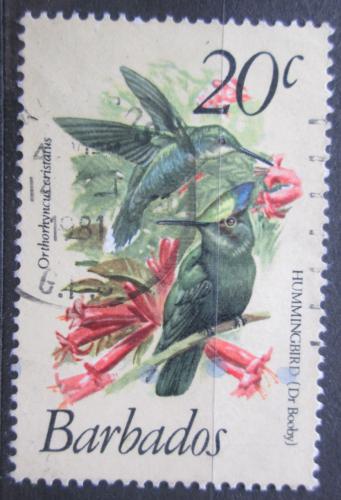 Poštová známka Barbados 1979 Kolibøík chocholatý Mi# 471