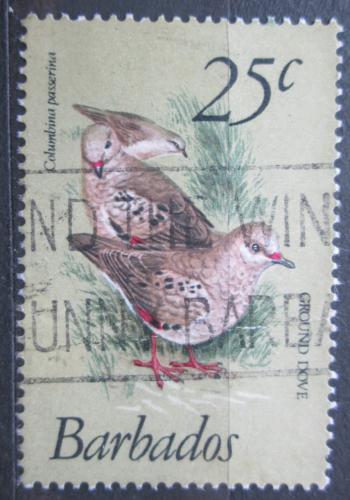 Poštová známka Barbados 1979 Holoubek vrabèí Mi# 472