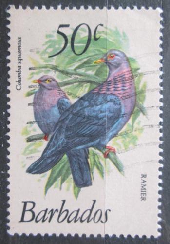 Poštová známka Barbados 1979 Holub šedobøichý Mi# 476