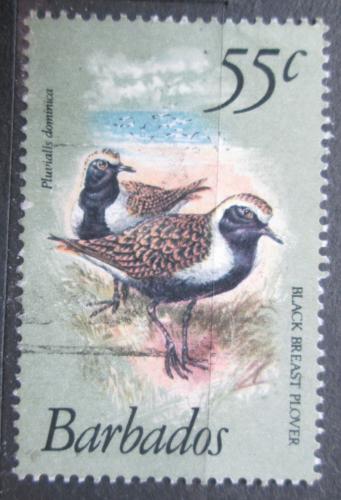 Poštová známka Barbados 1981 Kulík hnìdokøídlý Mi# 535