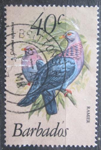 Poštová známka Barbados 1982 Holub šedobøichý Mi# 552 Kat 6€
