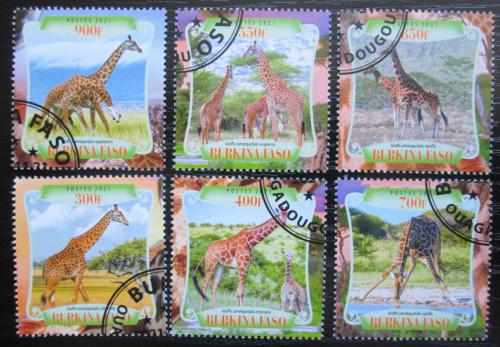 Poštové známky Burkina Faso 2021 Žirafy Mi# Mi# N/N
