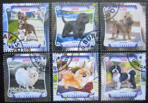 Poštové známky Burkina Faso 2021 Malí psi Mi# Mi# N/N