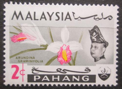 Poštová známka Malajsie Pahang 1965 Orchidej, Arundina graminifolia Mi# 77