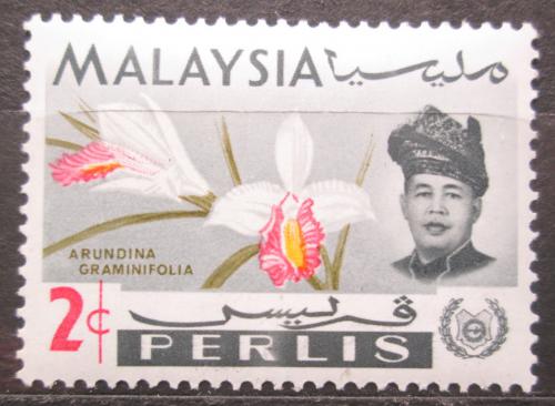 Poštová známka Malajsie Perlis 1965 Orchidej, Arundina graminifolia Mi# 41