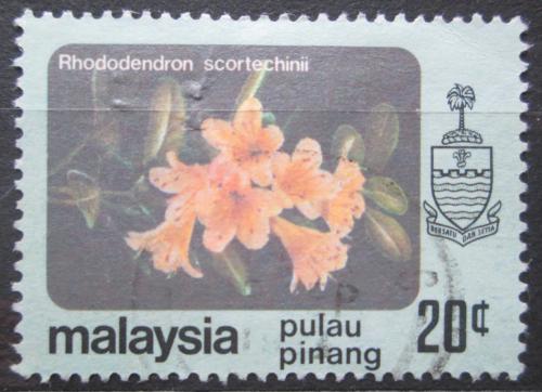 Poštová známka Malajsie Pulau Pinang 1979 Rhododendron scortechinii Mi# 85