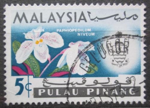 Potov znmka Malajsie Pulau Pinang 1965 Orchidej, Paphiopedilum niveum Mi# 68 - zvi obrzok