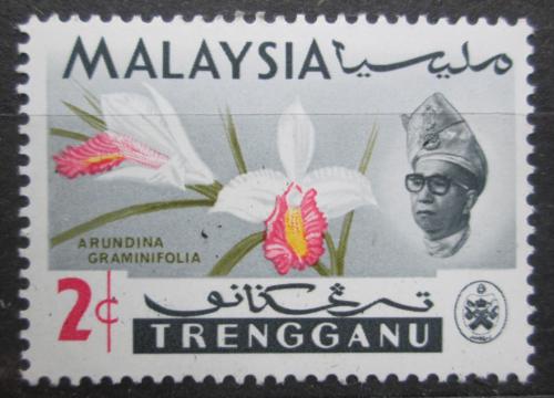Poštová známka Malajsie Trengganu 1965 Orchidej, Arundina graminifolia Mi# 88