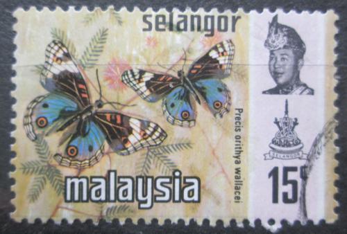 Poštová známka Malajsie Selangor 1971 Precis orithya wallacei Mi# 110