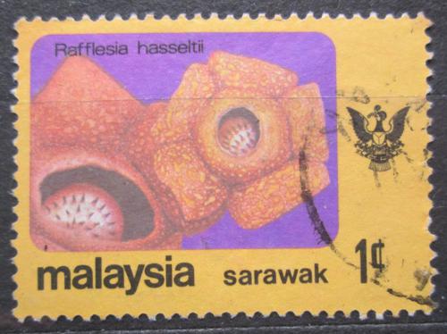 Potov znmka Malajsie Sarawak 1979 Rafflesia hasseltii Mi# 232 - zvi obrzok