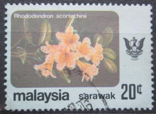 Potov znmka Malajsie Sarawak 1979 Rhododendron scortechinii Mi# 237 - zvi obrzok