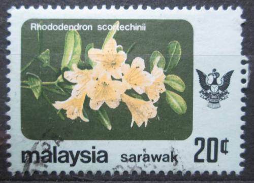 Potov znmka Malajsie Sarawak 1979 Rhododendron scortechinii Mi# 237