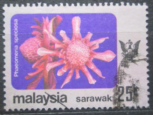 Potov znmka Malajsie Sarawak 1979 Phaeomeria speciosa Mi# 238