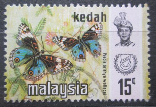 Poštová známka Malajsie Kedah 1971 Precis orithya wallacei Mi# 118