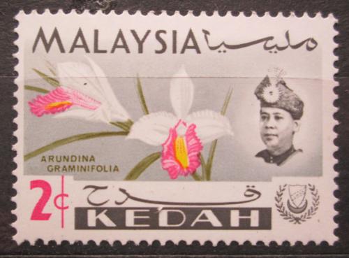 Poštová známka Malajsie Kedah 1965 Orchidej, Arundina graminifolia Mi# 107