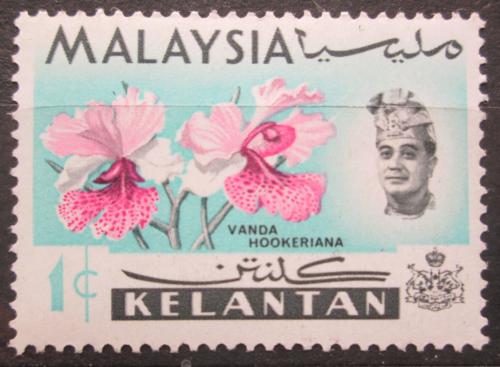Poštová známka Malajsie Kelantan 1965 Orchidej, Vanda hookeriana Mi# 90