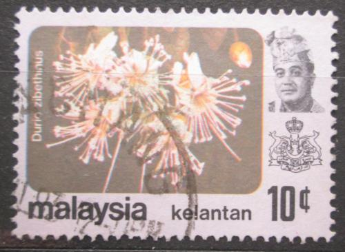 Potov znmka Malajsie Kelantan 1979 Durian cibetkov Mi# 107