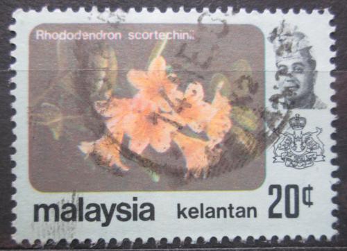 Potov znmka Malajsie Kelantan 1979 Rhododendron scortechinii Mi# 109