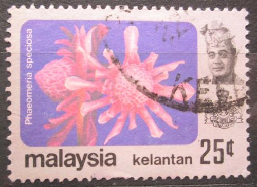 Potov znmka Malajsie Kelantan 1979 Phaeomeria speciosa Mi# 110 - zvi obrzok
