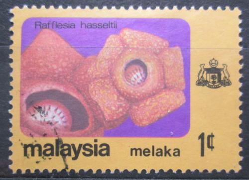 Potov znmka Malajsie Melaka 1979 Rafflesia hasseltli Mi# 80