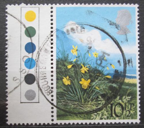Poštová známka Ve¾ká Británia 1979 Narcis žlutý Mi# 786