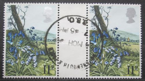 Poštové známky Ve¾ká Británia 1979 Hyacintovec britský Mi# 787