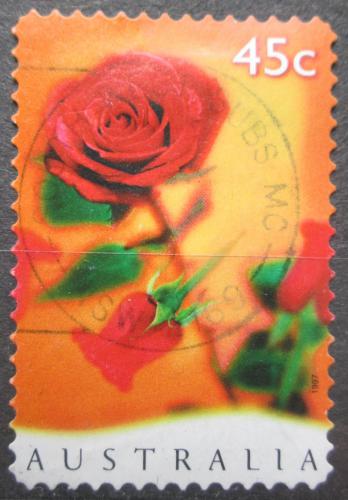 Poštová známka Austrália 1997 Rùže Mi# 1617