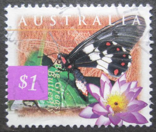 Poštová známka Austrália 1997 Otakárek velký Mi# 1632