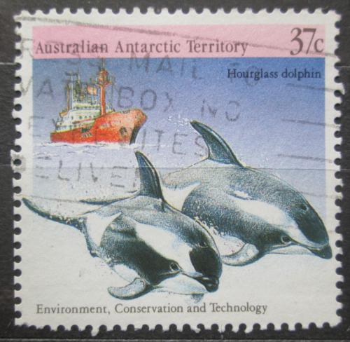 Poštová známka Australská Antarktída 1988 Plískavice pestrá Mi# 79