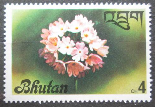 Poštová známka Bhútán 1976 Orchidej Mi# 672