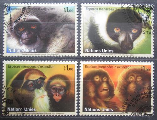 Potov znmky OSN eneva 2007 Opice Mi# 561-64 Kat 5 - zvi obrzok