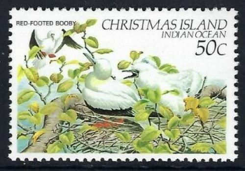 Poštová známka Vianoèný ostrov 1982 Terej èervenonohý Mi# 163