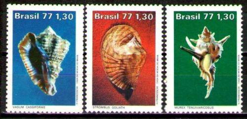 Poštové známky Brazílie 1977 Mušle Mi# 1604-06