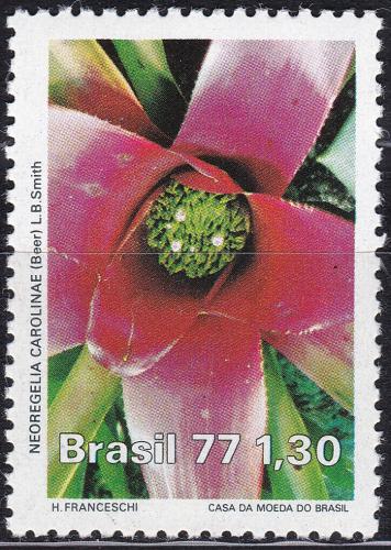 Poštová známka Brazílie 1977 Bromélie èervenající Mi# 1619