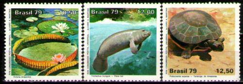 Poštové známky Brazílie 1979 Národní park Amazonas Mi# 1709-11 Kat 4.60€